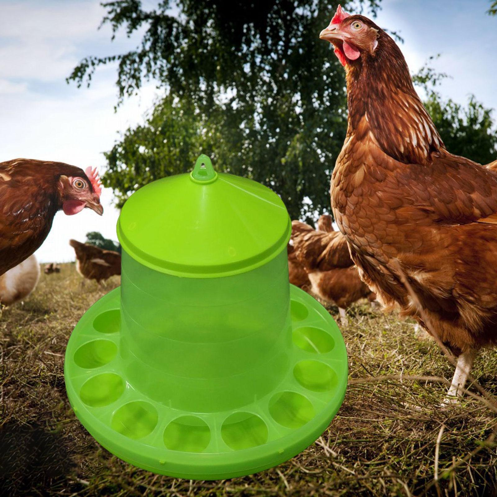 Chicken Feeder with Feeding Holes Hanging feed Dispenser Visible for Duck