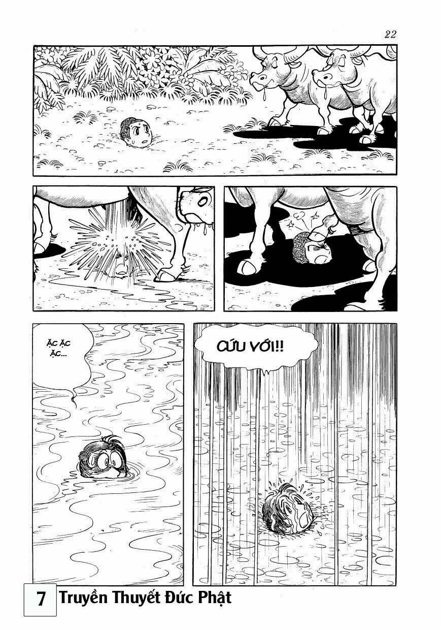 buddha - truyền thuyết đức phật chapter 30 21