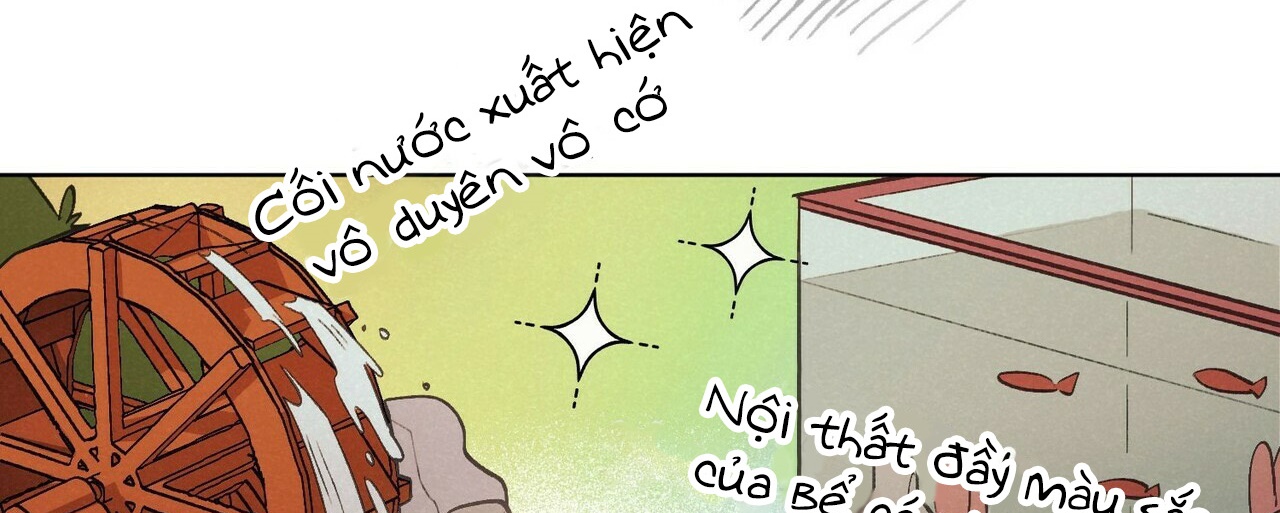 chàng dâu nhà họ kang chapter 6 161