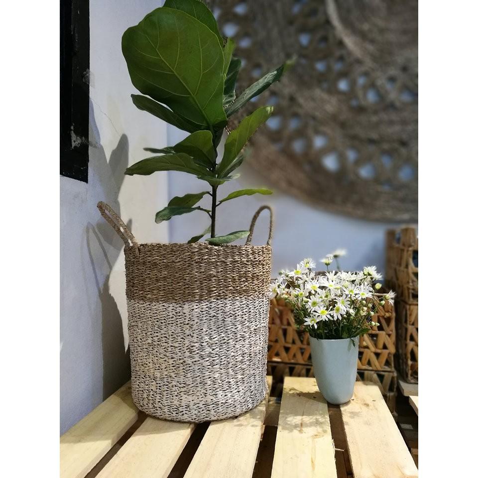 Giỏ trồng cây, đựng đồ