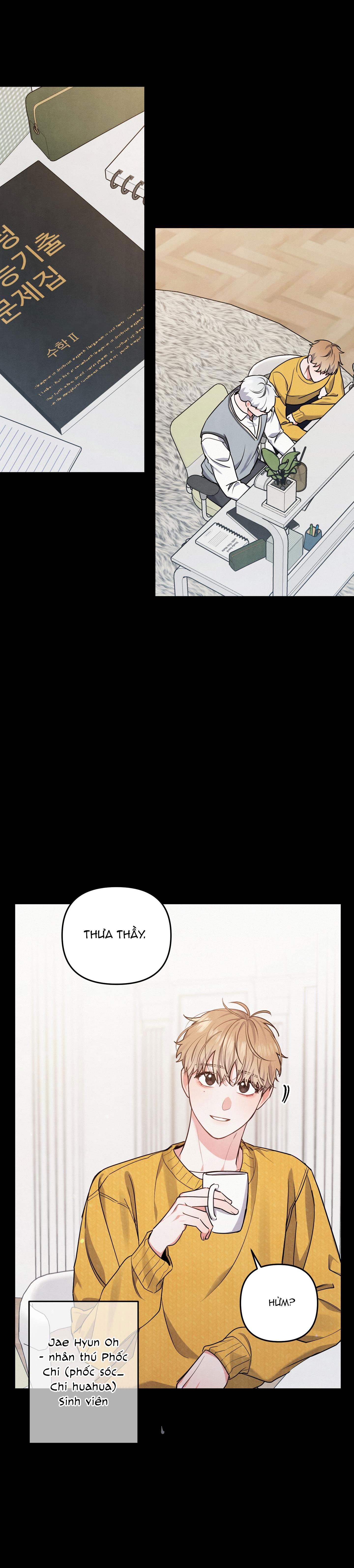 mối quan hệ ngu ngốc chapter 21 13