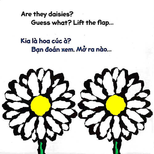 Lật giở song ngữ - HOA GÌ THẾ