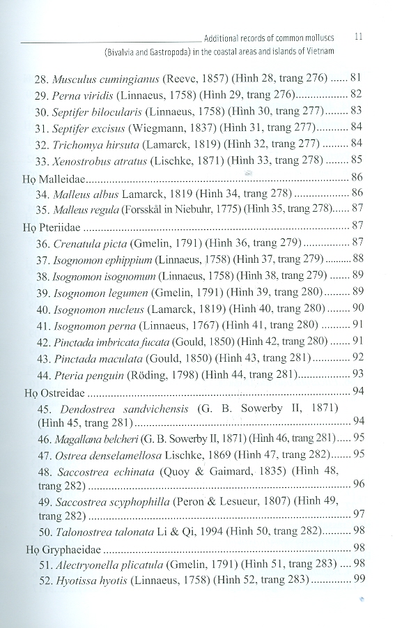 Ghi Nhận Thêm Các Loài Thân Mềm Phổ Biến (Gastropoda Và Bivalvia) Ở Ven Biển, Ven Đảo Việt Nam (Bìa Cứng)