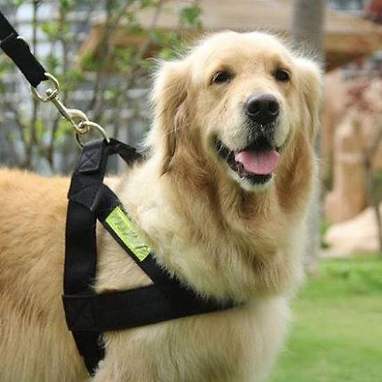 Bộ dây dắt + yếm cho chó lớn Police Dog ( 3 size )