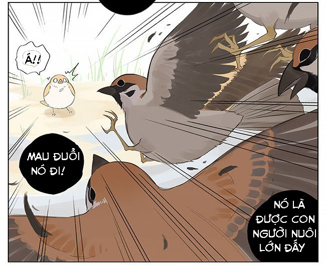 sẻ chiếu mới và nhạn phong sương chapter 9 8