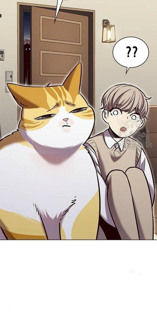 biến thân thành mèo chapter 228 14
