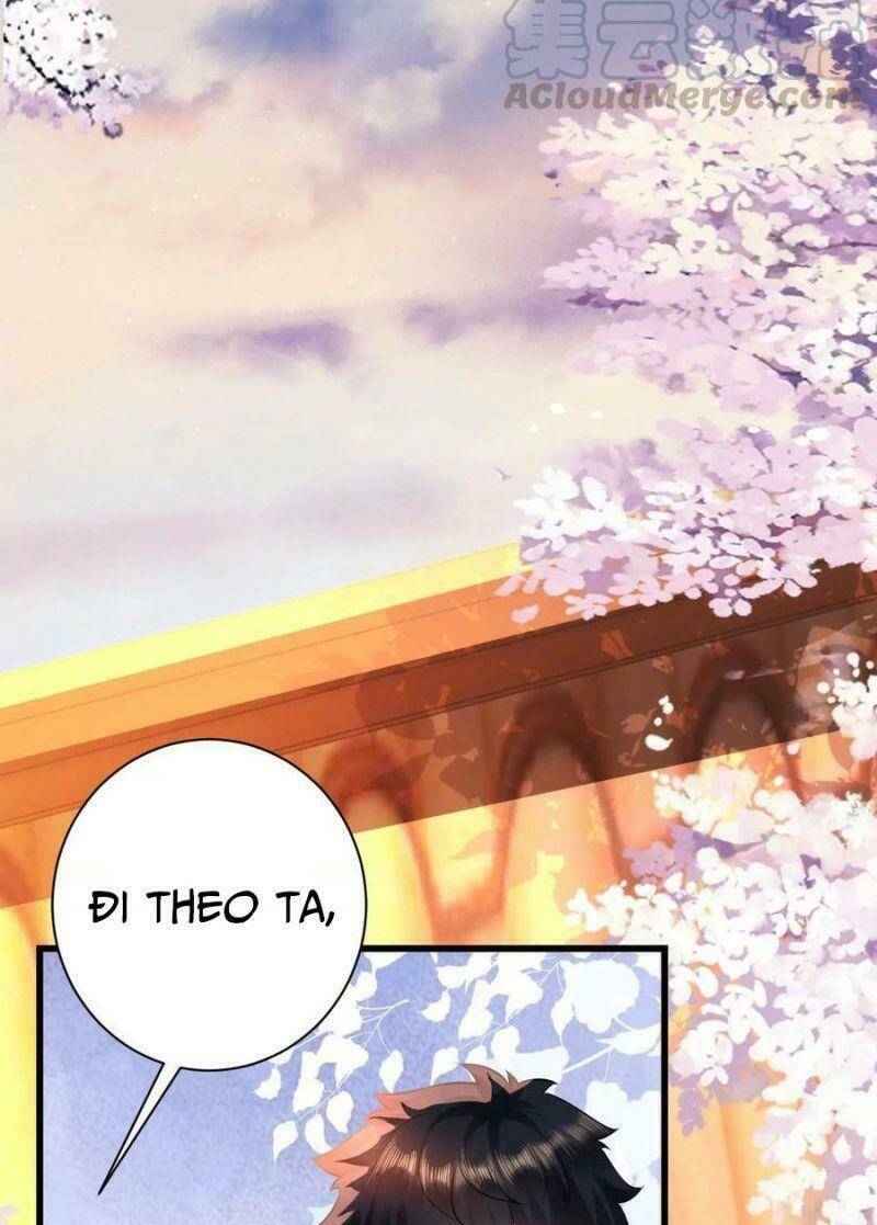 quận chúa vững vàng, thiết lập nhân vật không thể vỡ chapter 78 32