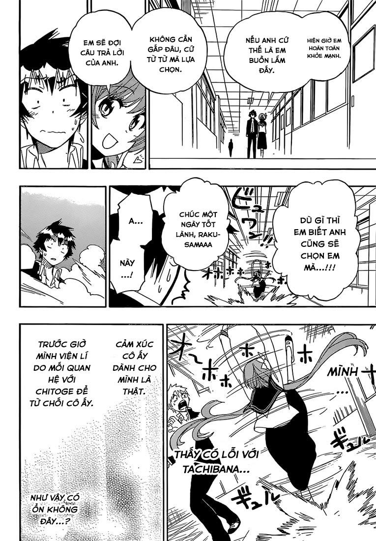 nisekoi - tình yêu giả tạo chapter 175 18