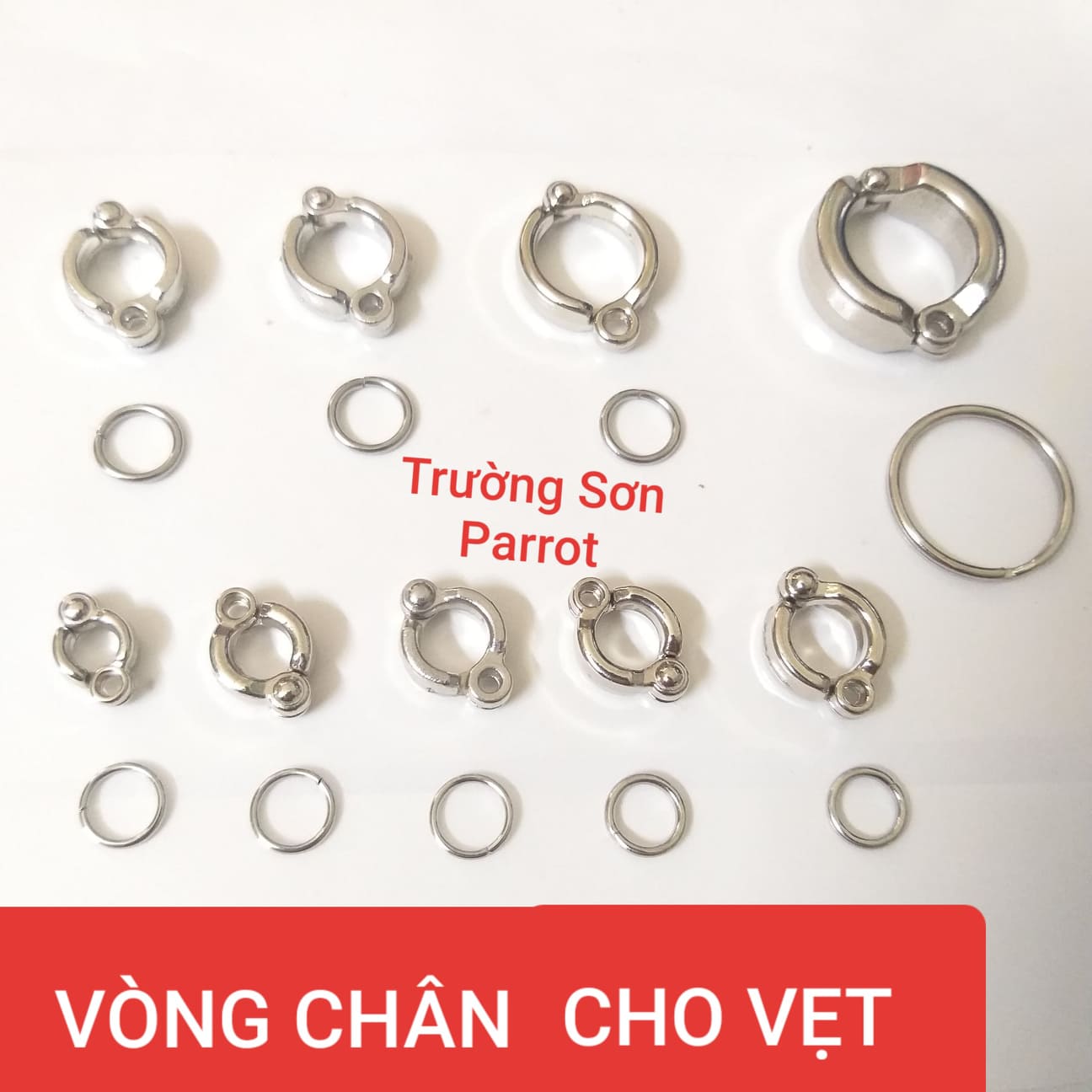 1 VÒNG CHÂN CHO VẸT DẠNG ĐÓNG MỞ đủ size (NHẪN ĐEO CHÂN cho vẹt) BẰNG INOX dùng để đeo xích cho chim