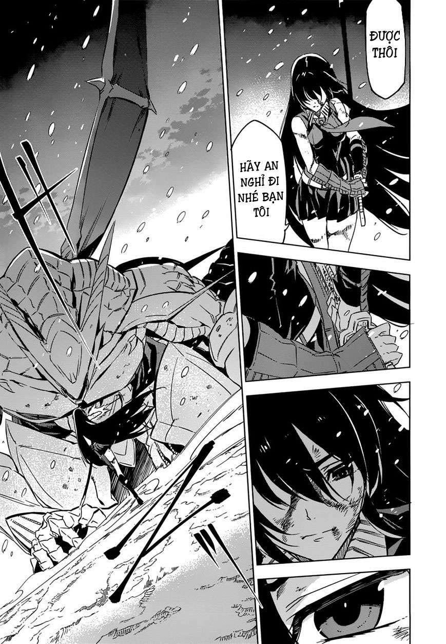 akame ga kiru! chapter 76.5 11