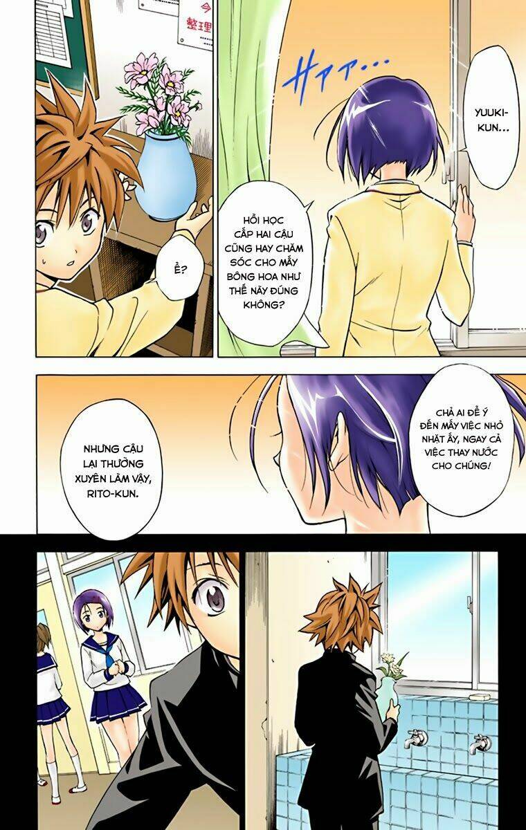 bọn tớ thích cậu! rito - digital color edition chapter 4 15