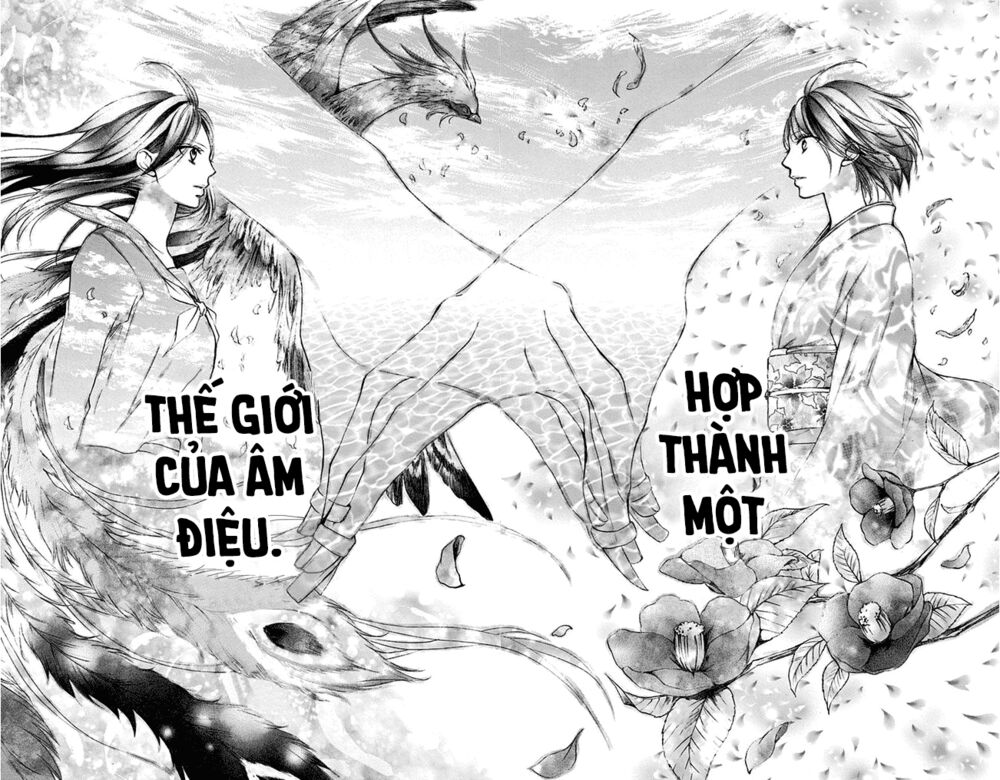 kono oto tomare! chapter 40 20