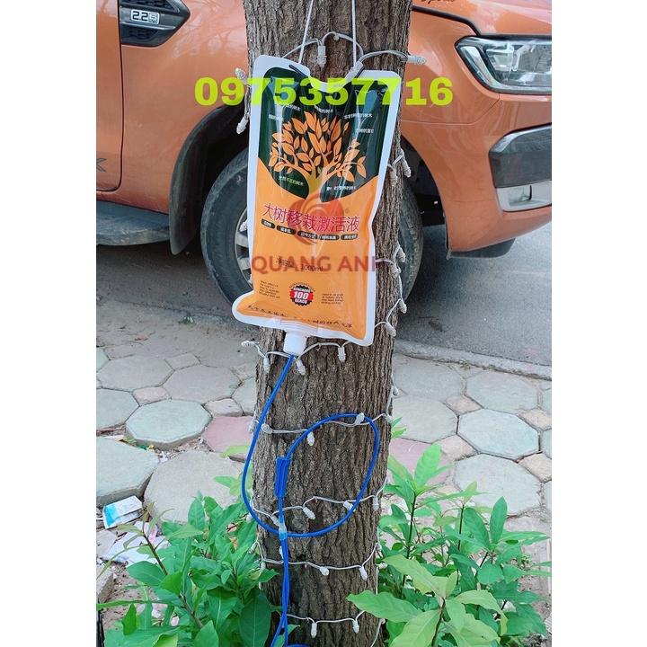 DỊCH TRUYỀN - DINH DƯỠNG TRÊN CHO CÂY - DỊCH TRUYỀN CÂY CÔNG TRÌNH