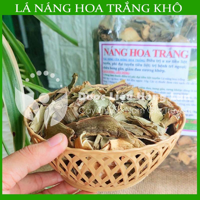 Lá náng hoa trắng khô sạch đóng gói 500gram