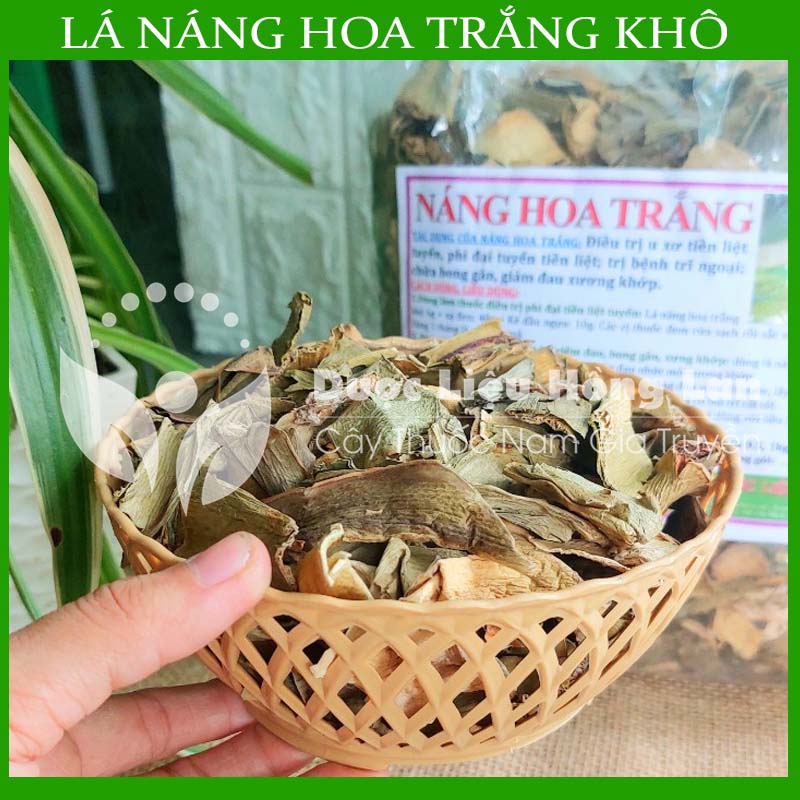 Cây Lá náng hoa trắng khô sạch đóng gói 1kg