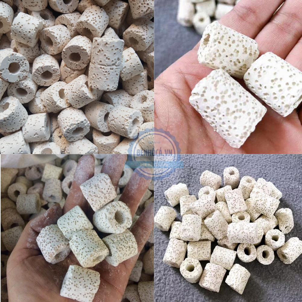 VẬT LIỆU LỌC SỨ LỌC HỒ CÁ 100G