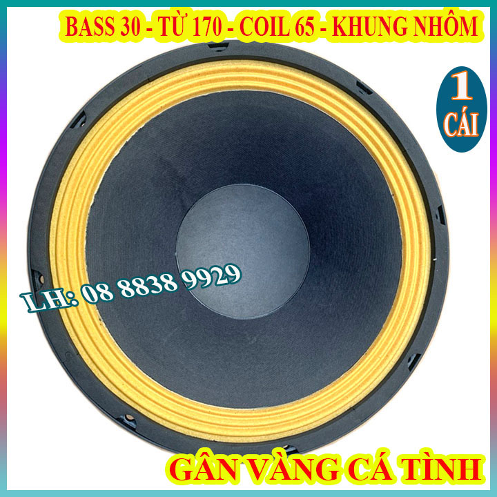 CỦ LOA BASS 30 B3 TỪ 170 COIL 76 AUDIO GÂN VÀNG CAO CẤP - GIÁ 1 LOA