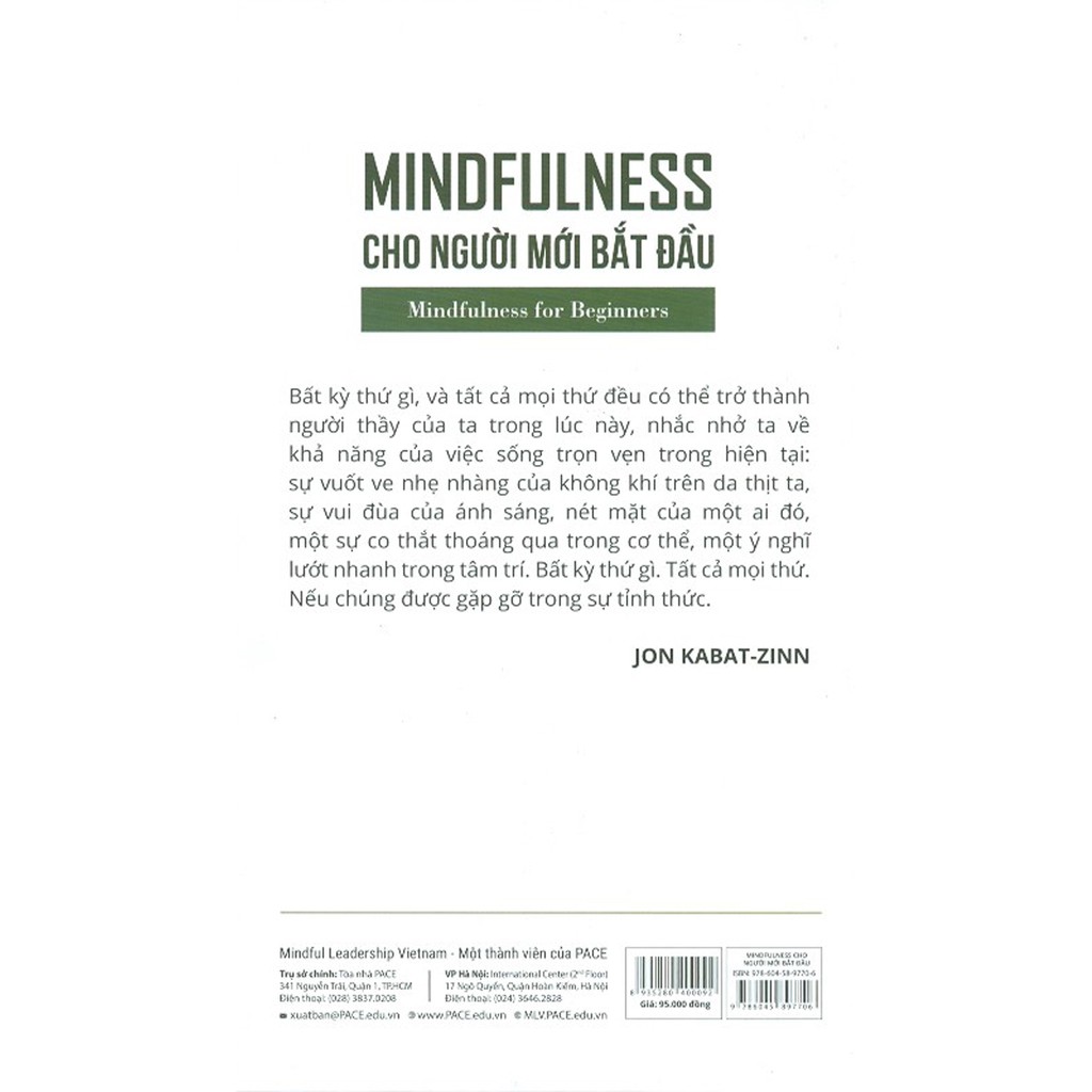 Mindfulness Cho Người Mới Bắt Đầu