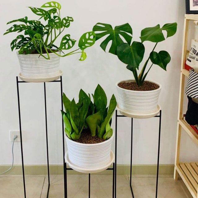 Giá đỡ cây cảnh set 3 kệ