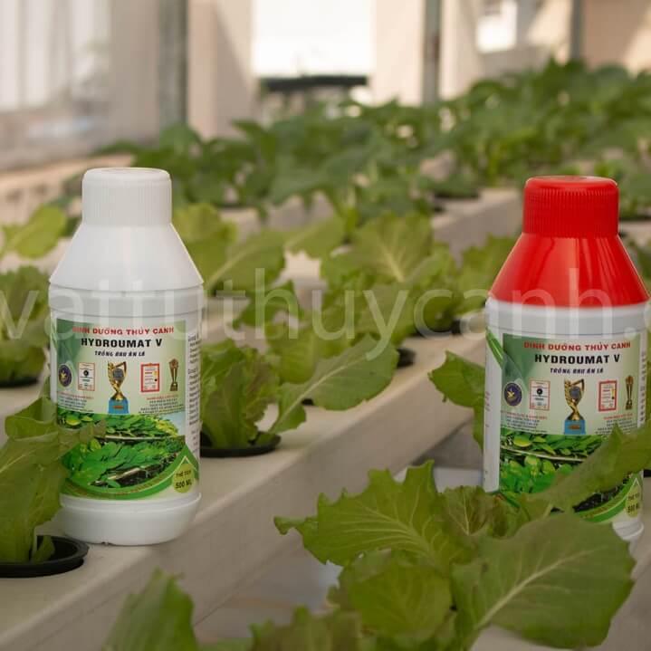 Bộ 2 Chai Dinh Dưỡng Thủy Canh Rau Ăn Lá Hydro Umat V