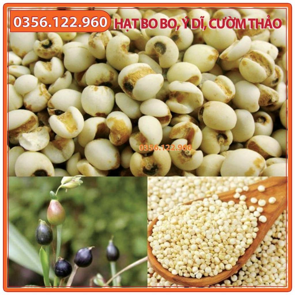 Hạt Cây Bo bo Cây Ý Dĩ Cườm Thảo - gói 100g - dùng cho chăn nuôi gia súc, gia cầm, thiên cầm