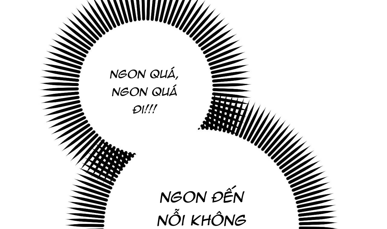 những chú thỏ của hapypy chapter 49 59