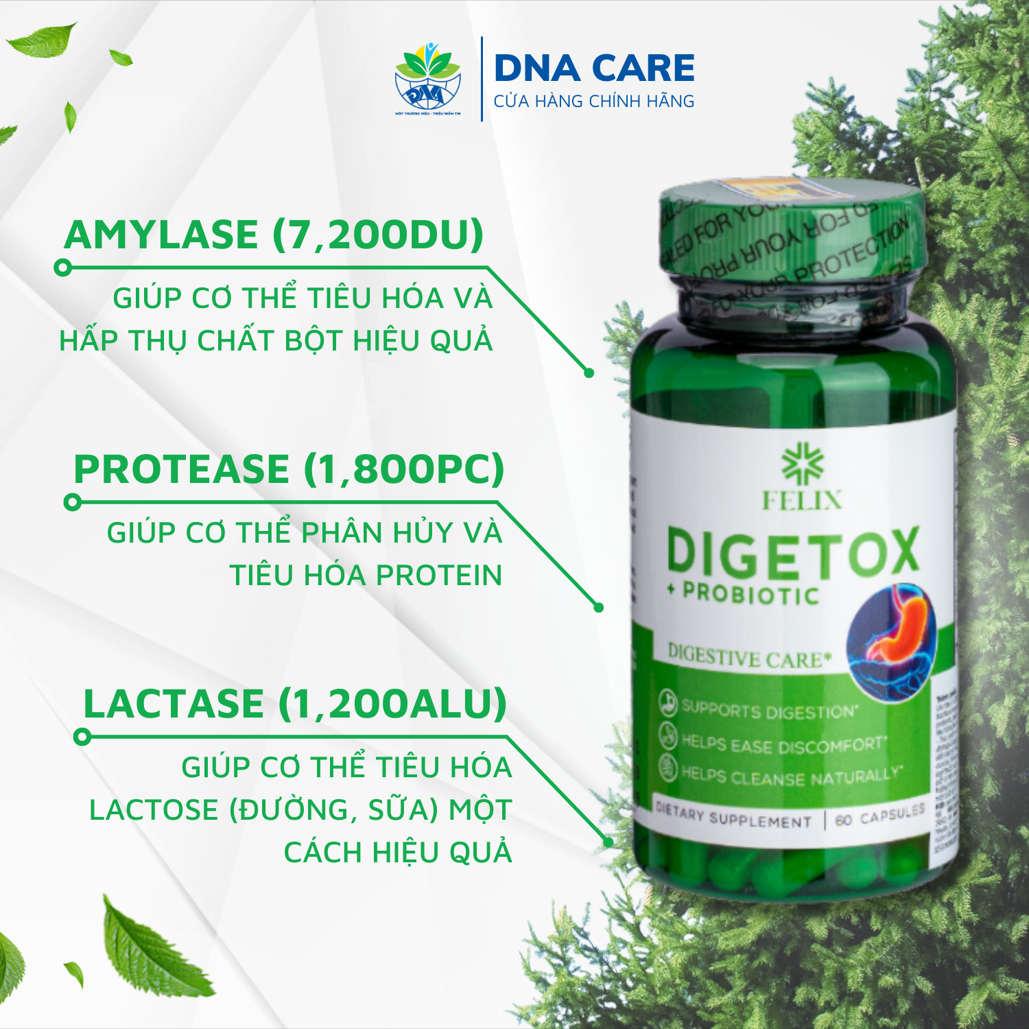 Viên uống bổ sung men tiêu hóa Enzym Digetox Probiotic hộp 60 viên