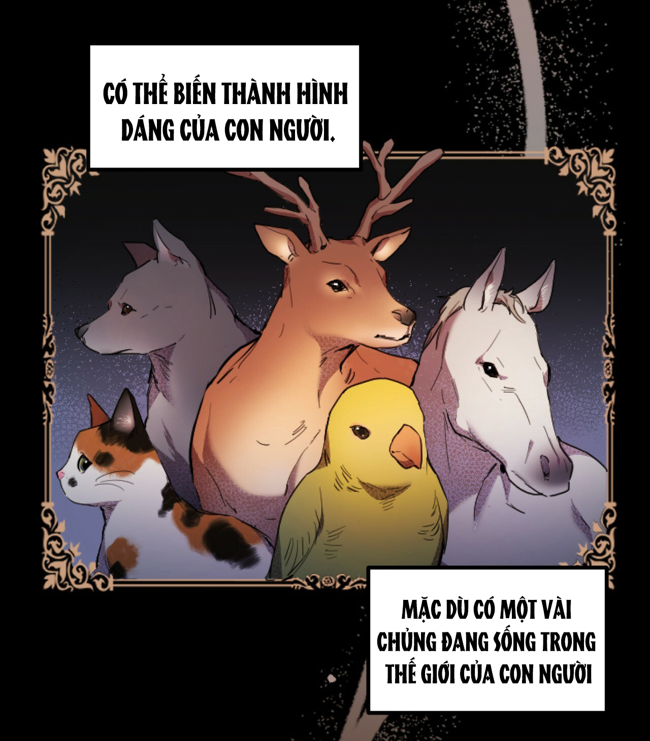 những chú thỏ của hapypy chapter 1 84