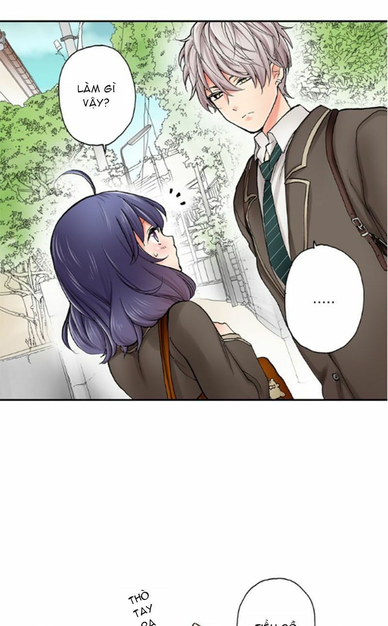 mệnh lệnh tuyệt đối của bá đạo vương tử chapter 11 6