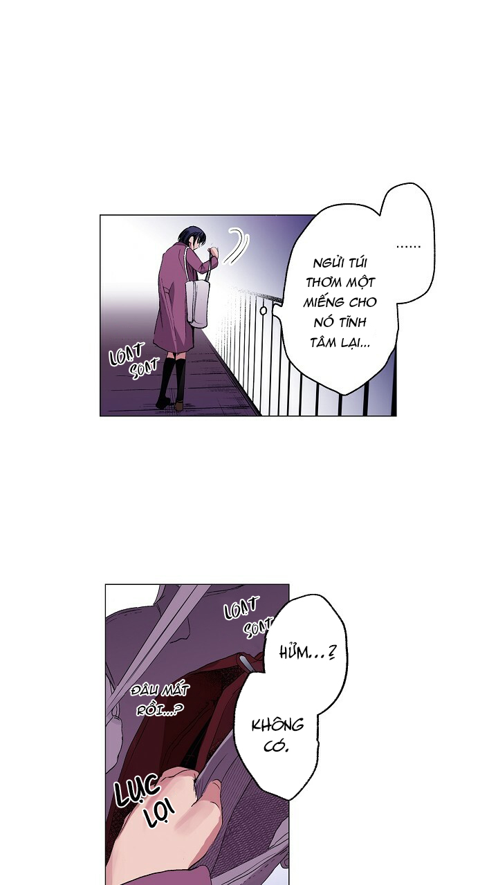 [18+bản màu] muốn ăn em không chừa một giọt chapter 16.1 9