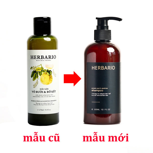 Dầu gội bưởi & Bồ Kết Herbario giảm rụng tóc, phục hồi tóc 300ml