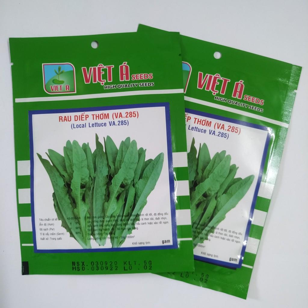 Hạt Giống Rau Diếp Thơm 5gr