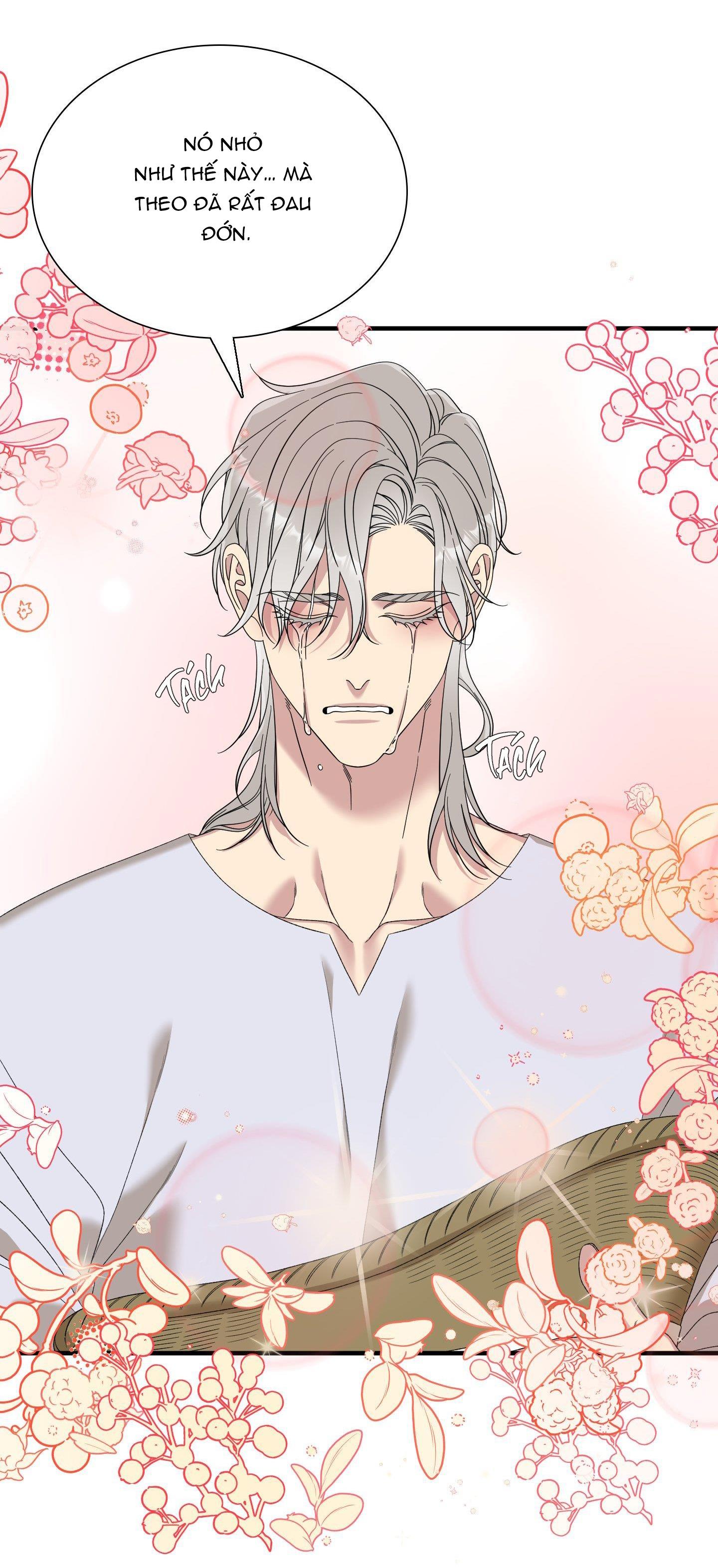 smyrna và capri chapter 46 41