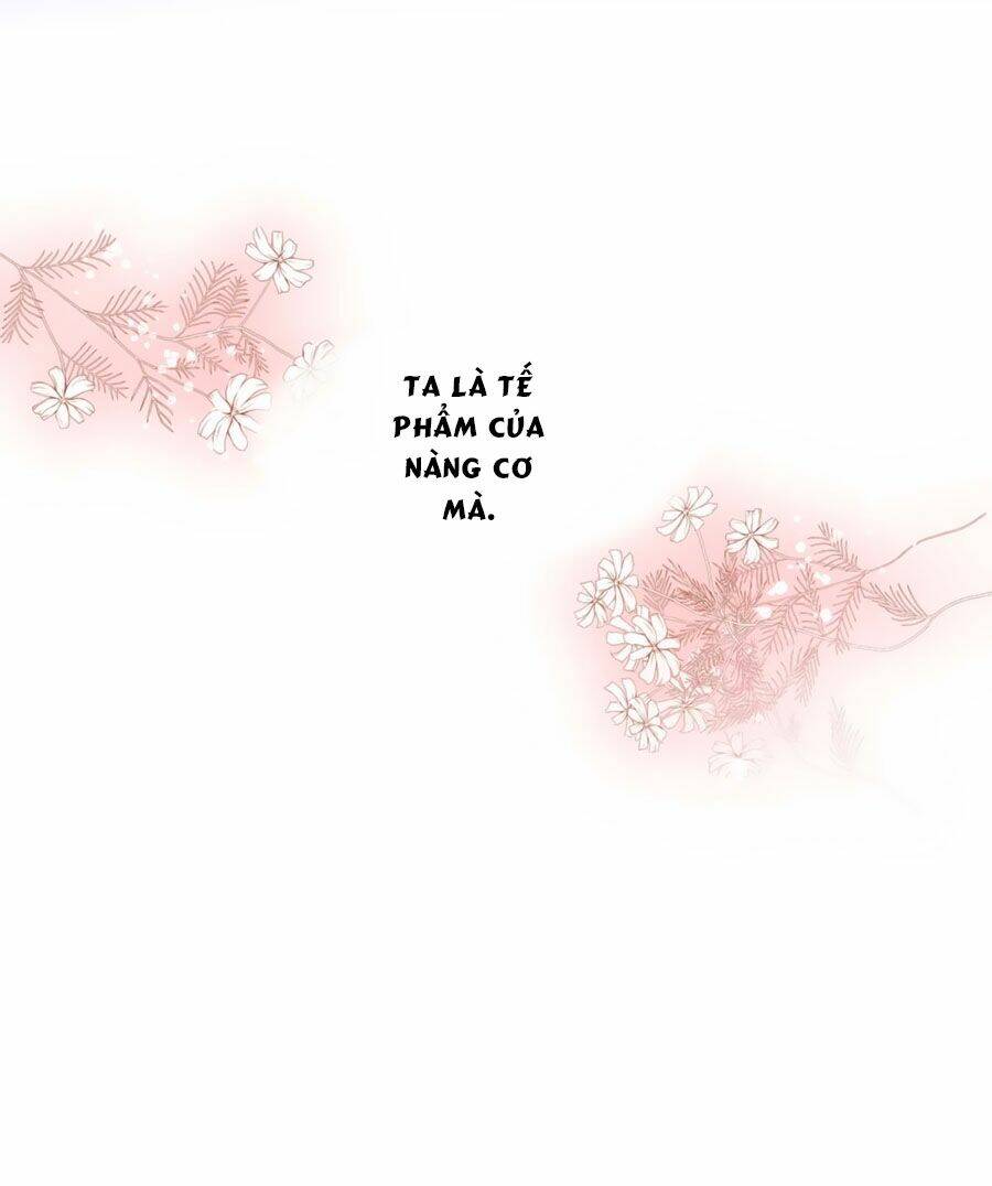 điềm mỹ chi huyết chapter 12 13