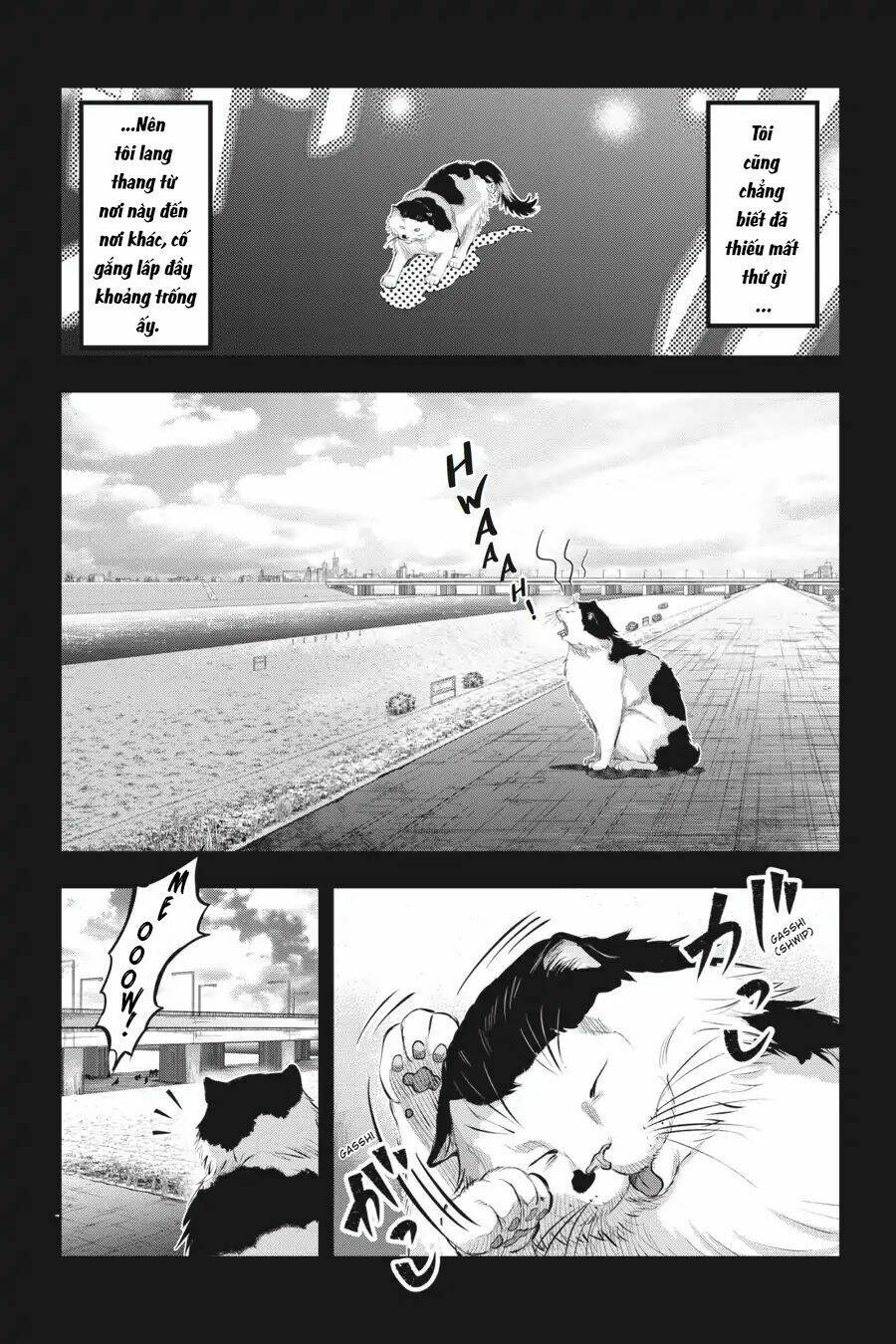 nyankees chapter 7 9