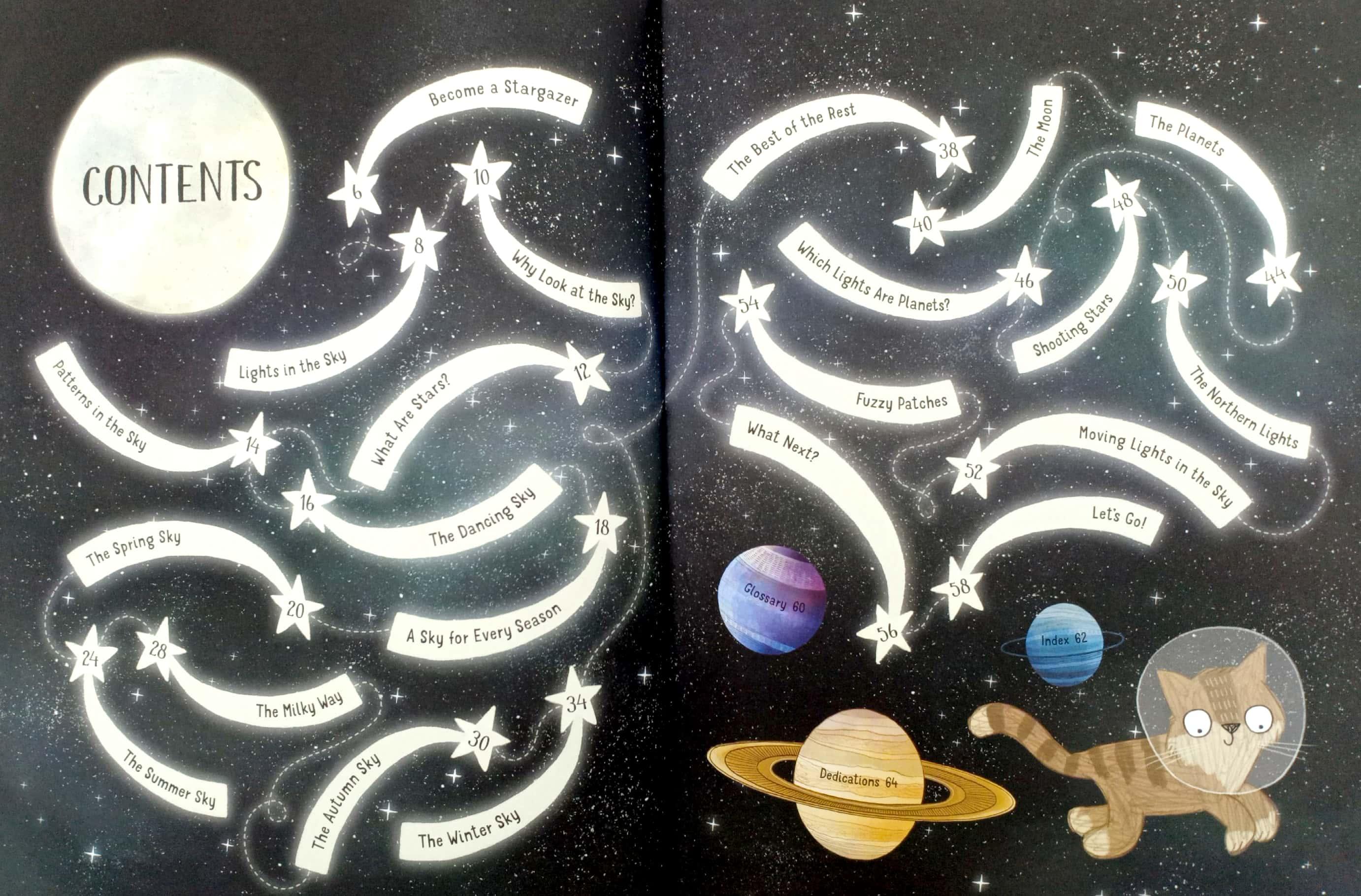 A Cat's Guide to the Night Sky