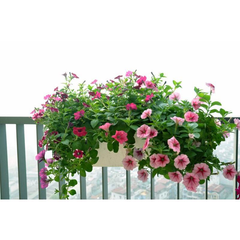 Combo 10 chậu chữ nhật thông minh 48cm