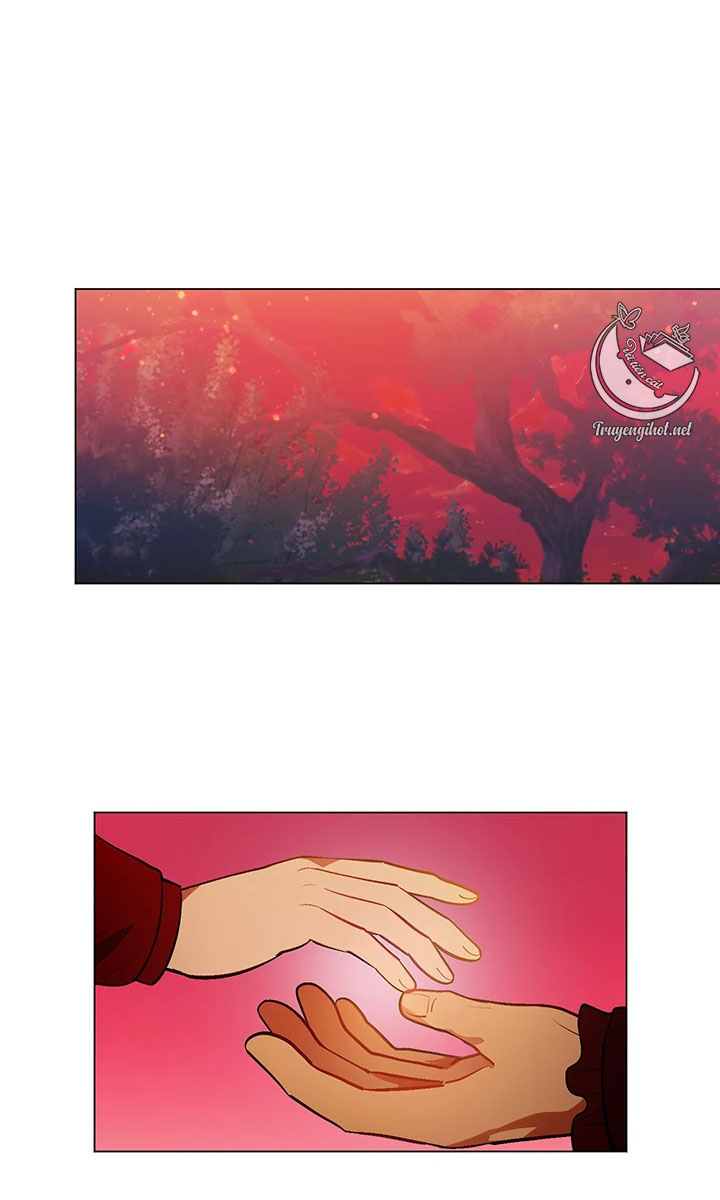 elizabeth chapter 42.1 13