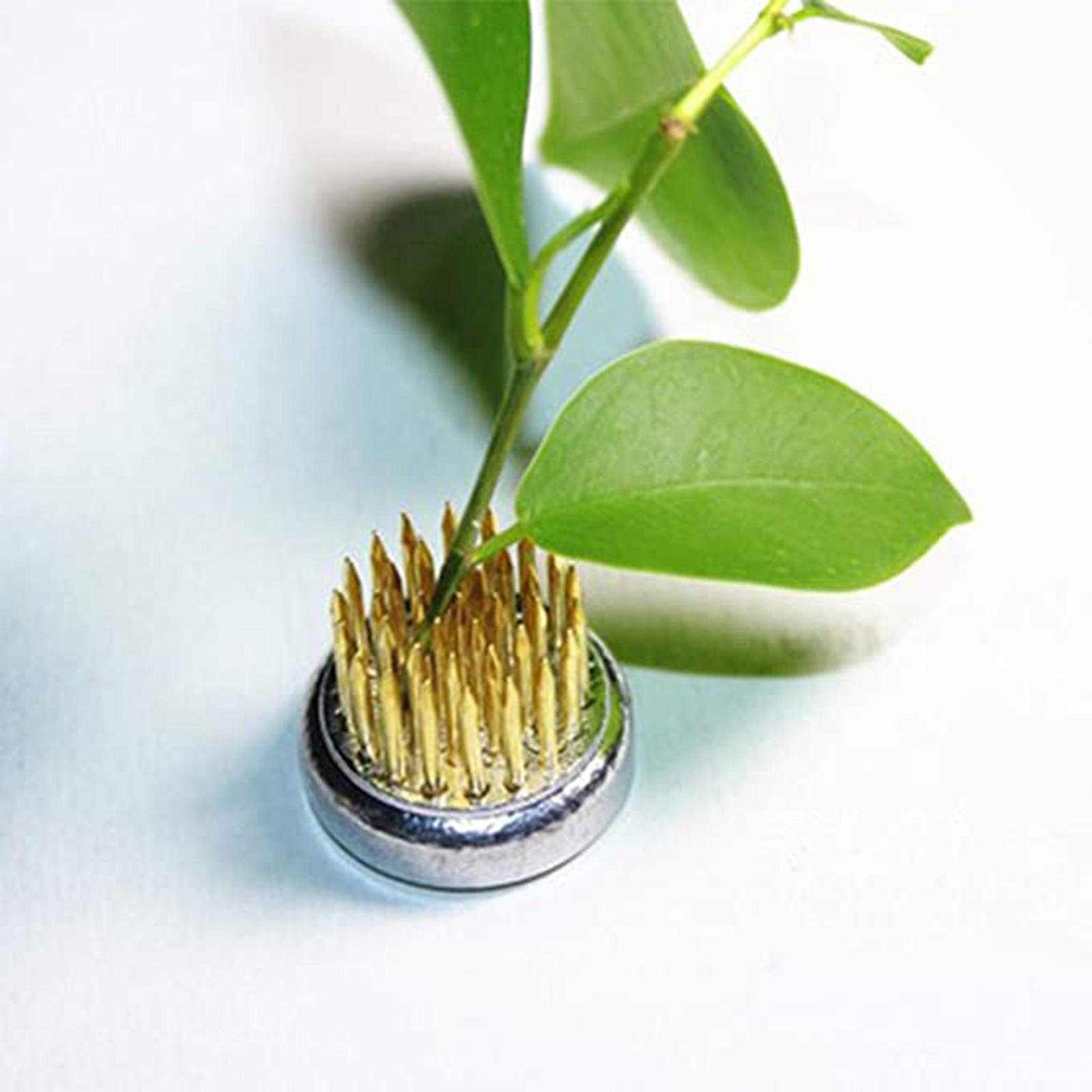 3Pcs Round Ikebana  Flower Arranging Frog Pin Holder Flower Fixed Tool