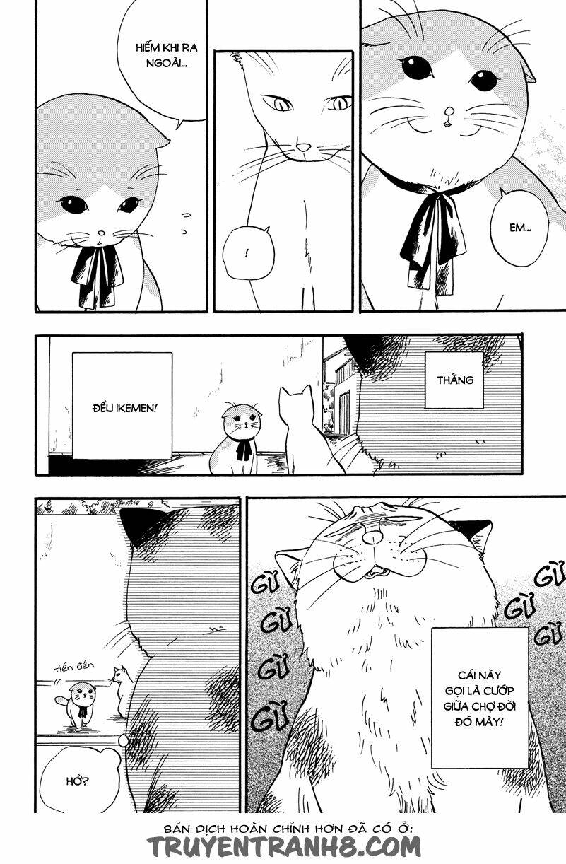 tui là busamen! chapter 3 5