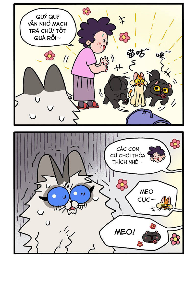 a mãn và mạch trà chapter 35 4