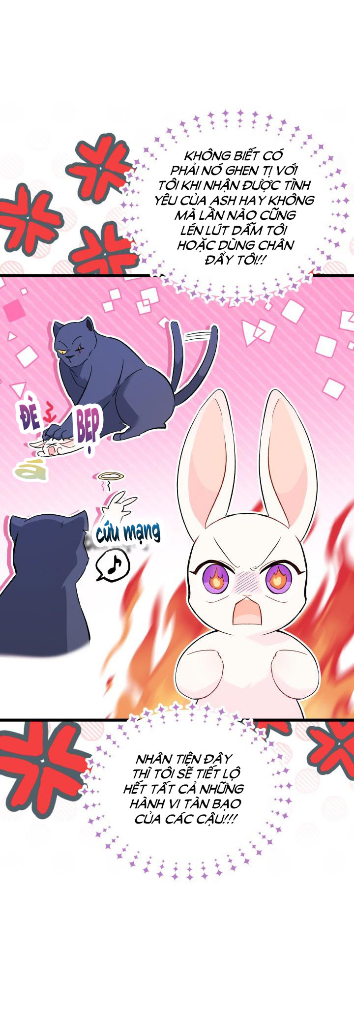 mối liên kết giữa báo đen và bé thỏ chapter 56 8