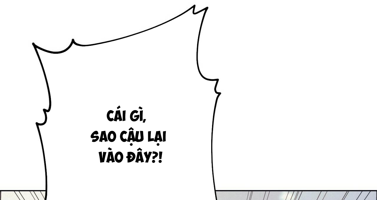 chàng dâu nhà họ kang chapter 11 187