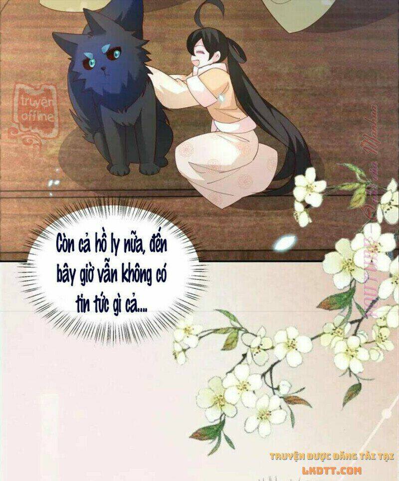 hắc hóa nam chính trực tuyến nuôi thỏ chapter 56 22