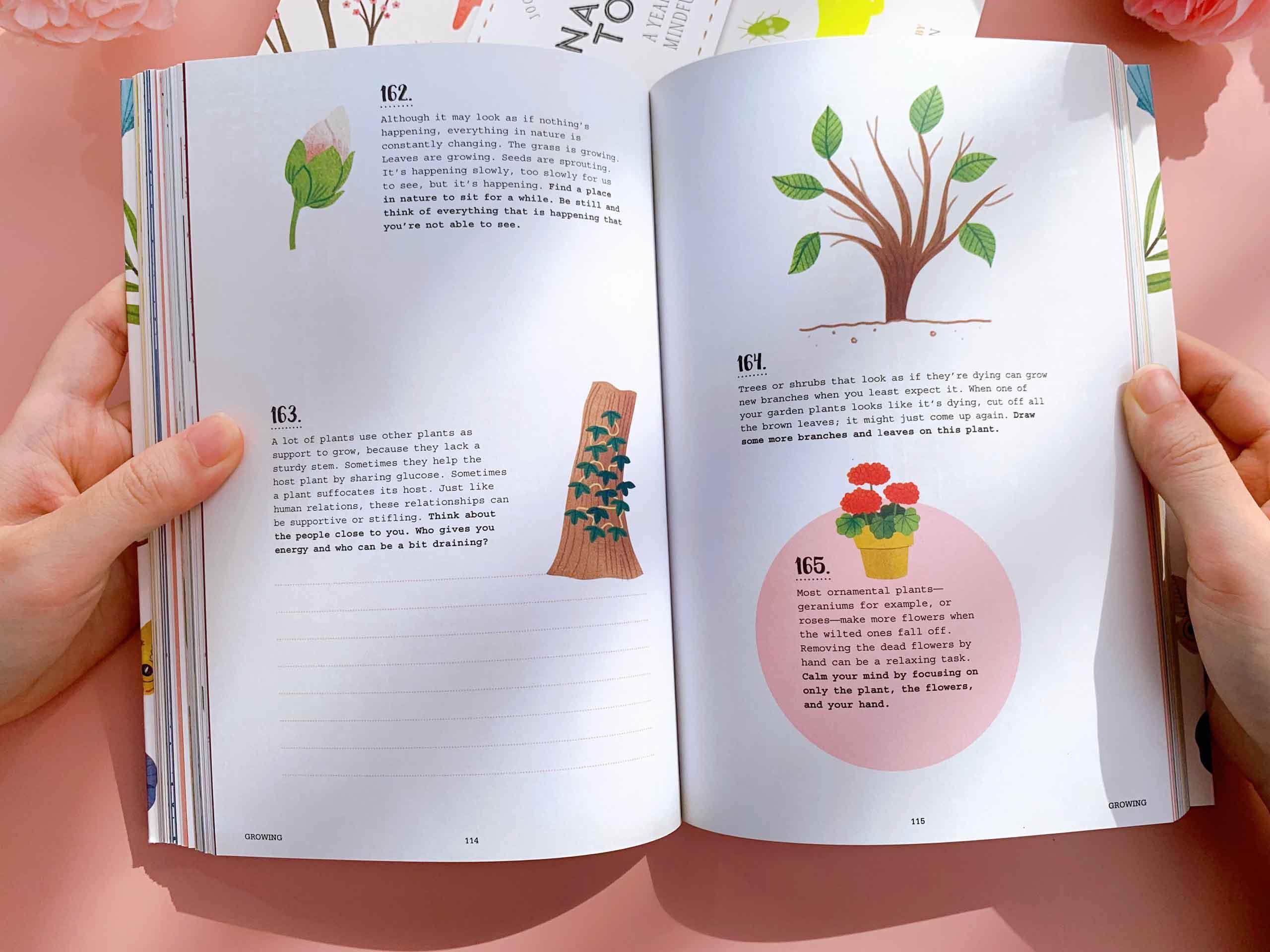 Nature Tonic: A Year in My Mindful Life