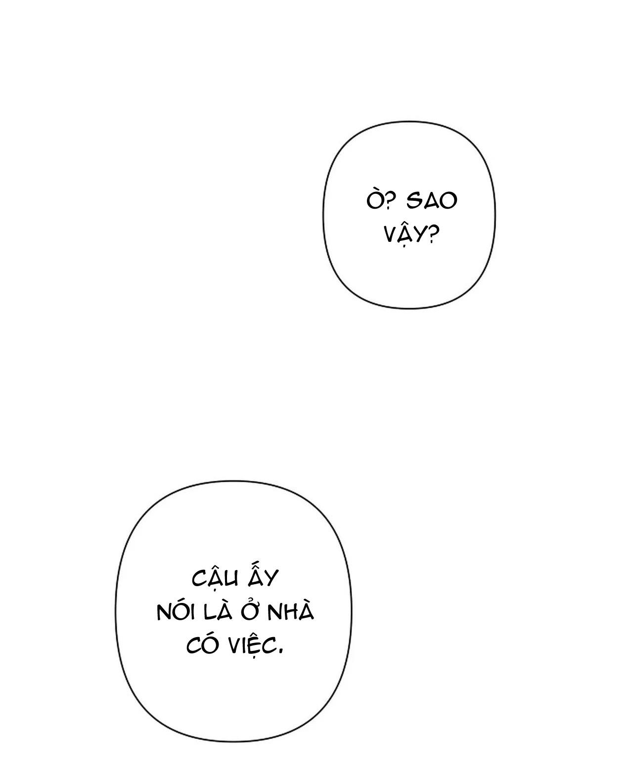 đêm dịu dàng chapter 42 13