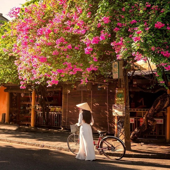 Đà Nẵng - Huế - Đầm Lập An - La Vang - Động Phong Nha & Thiên Đường - KDL Bà Nà - Cầu Vàng -Sơn Trà - Hội An - Đà Nẵng