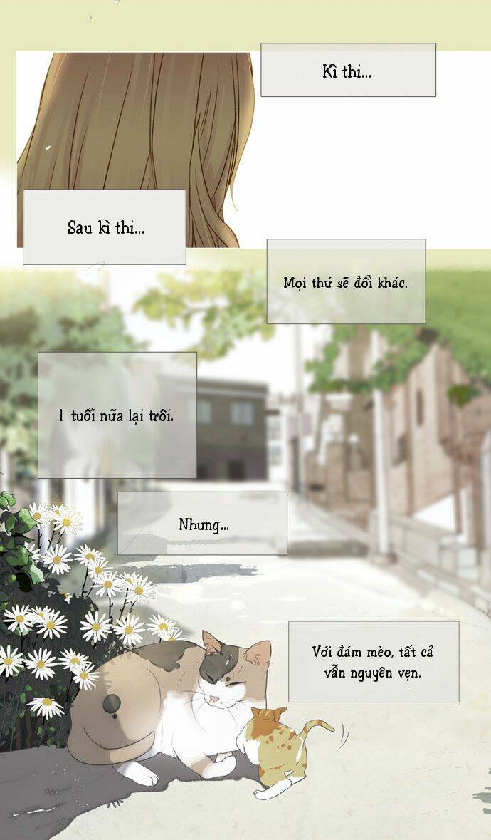 mười chín, hai mươi mốt chapter 14 16