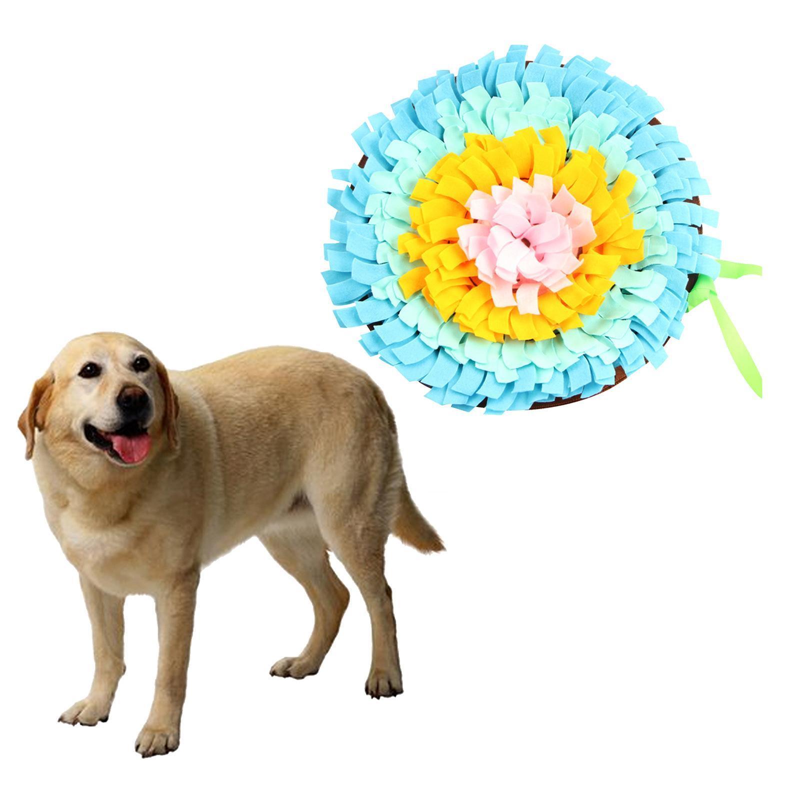 Pet Puppy Dog   Slow Feeder Foraging Skill