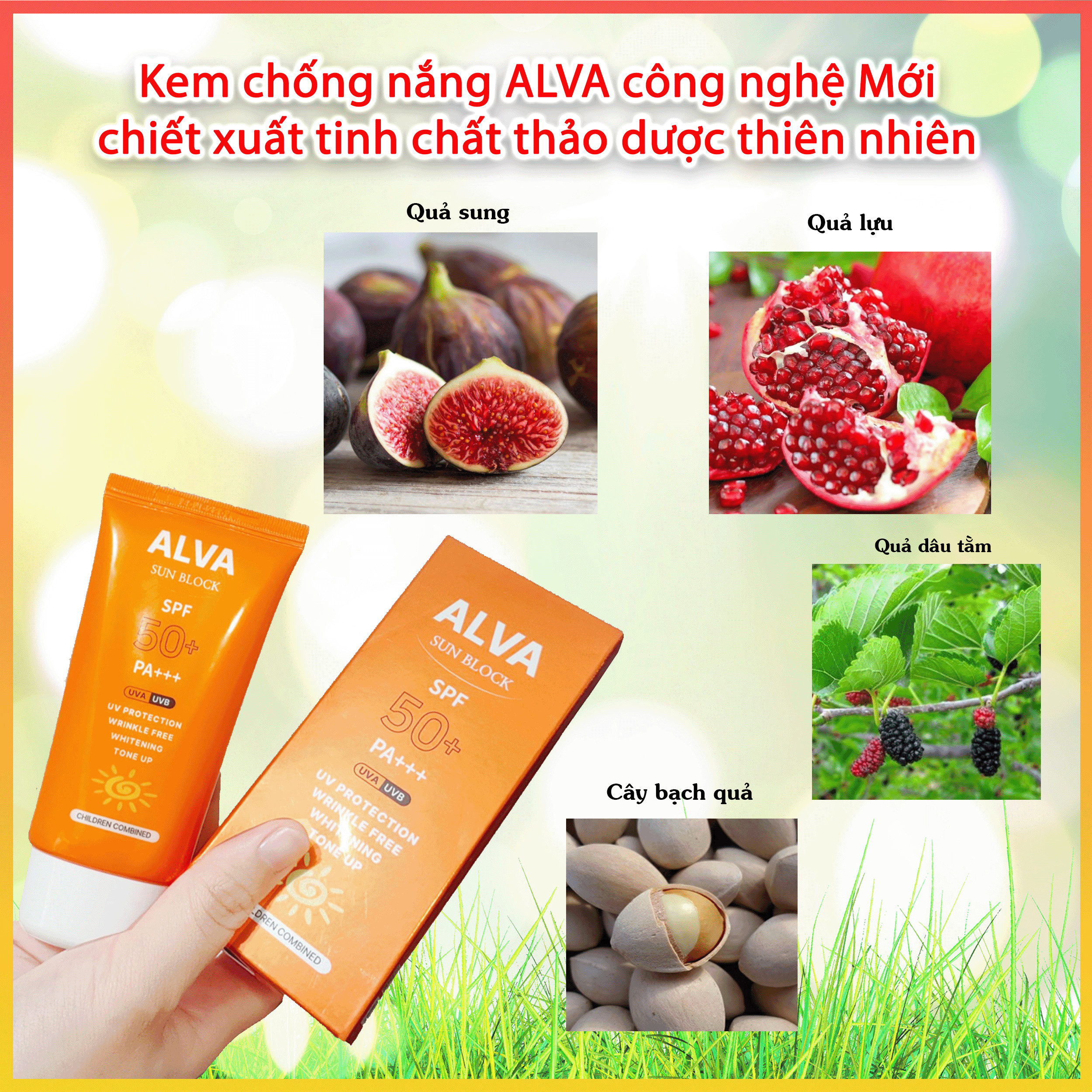 KEM CHỐNG NẮNG ALVA SUN BLOCK SPF50+/PA+++ HÀN QUỐC